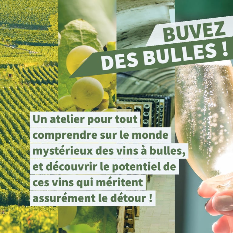 cours oenologie vins effervescents bulles champagne