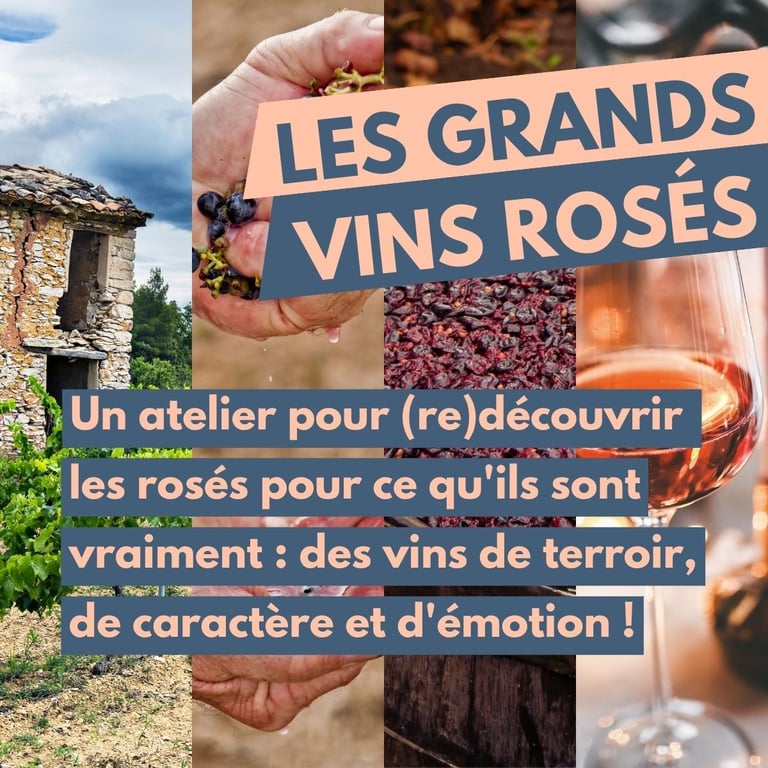 grands vins rosés dégustation cours oenologie lyon