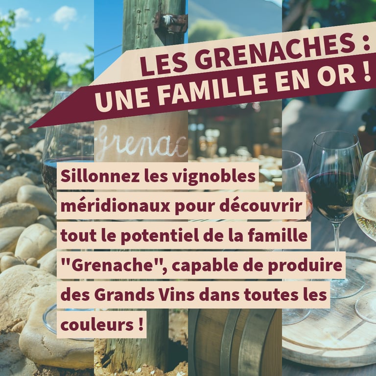 grenache cours d'oenologie lyon