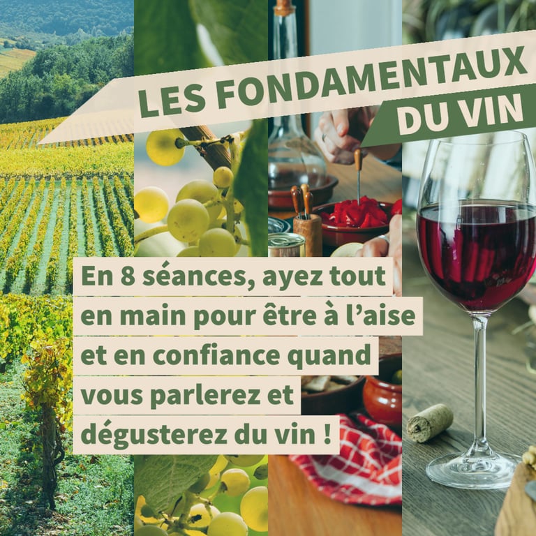 fondamentaux vins cours oenologie