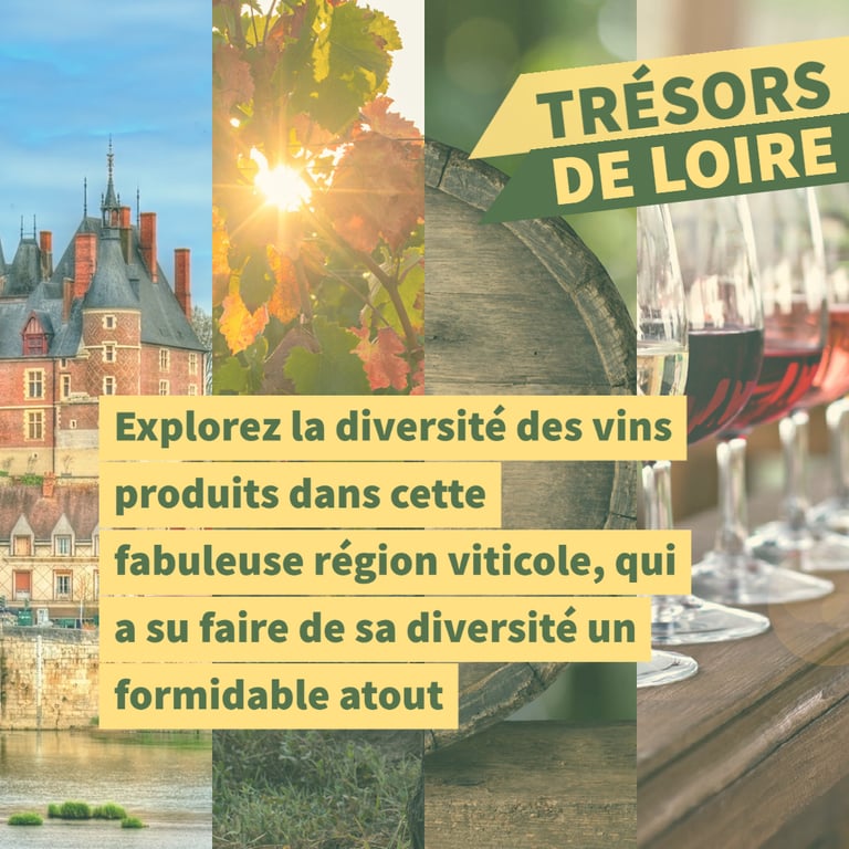 cours oenologie vallée de la loire