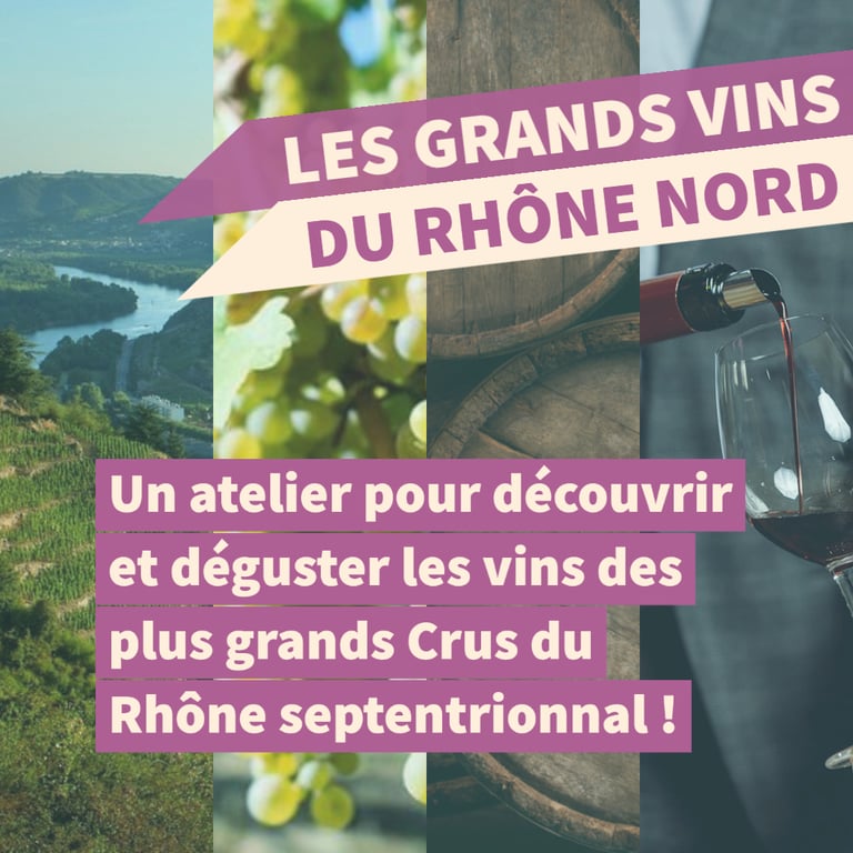 grands vins rhone nord cours oenologie dégustation lyon on veille au grain