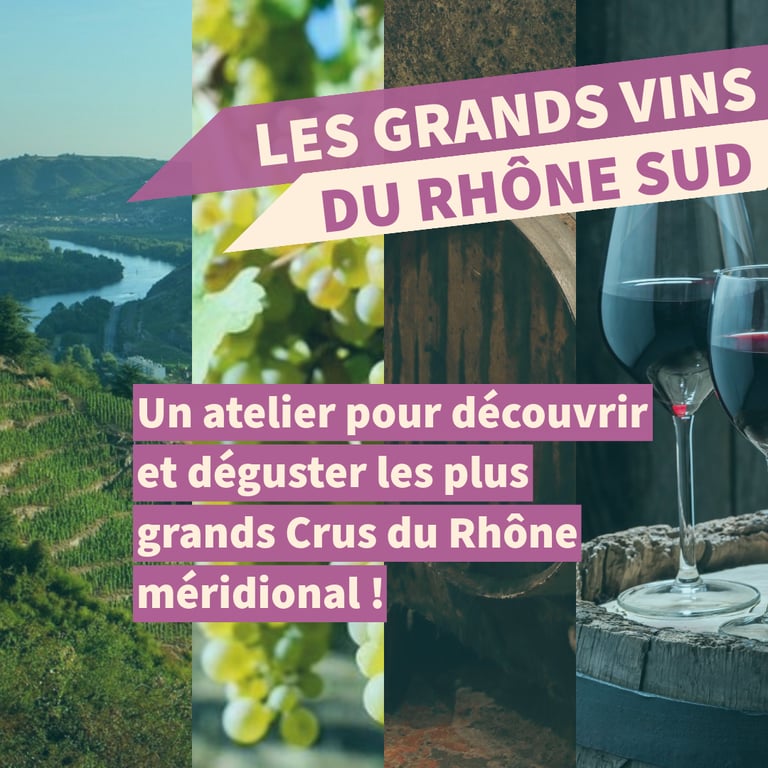 grands vins rhone sud cours oenologie dégustation lyon on veille au grain