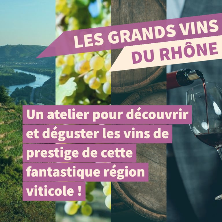 cours oenologie vallée du rhone