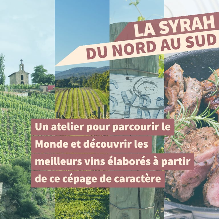 cours oenologie syrah rhone