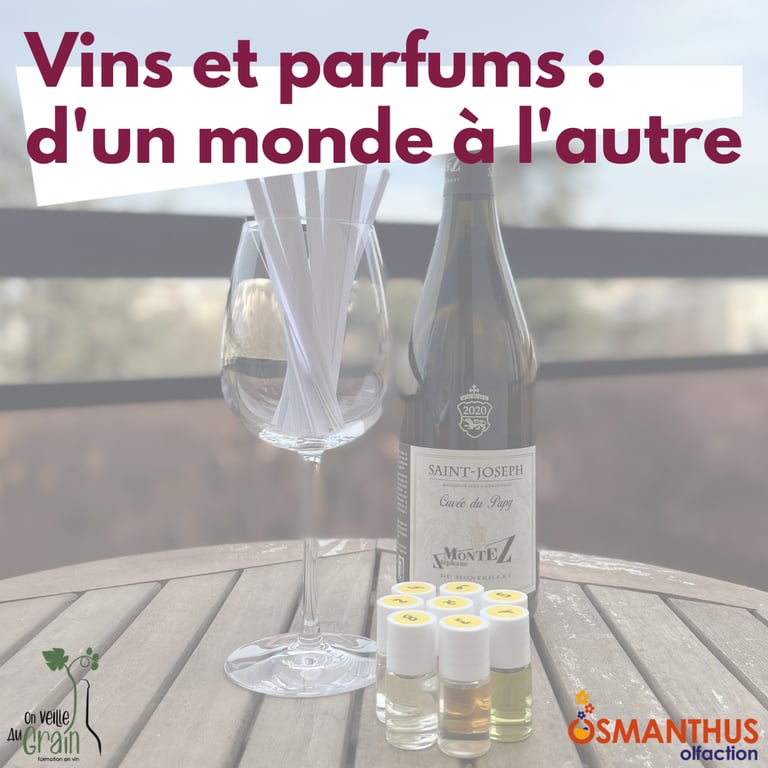cours oenologie vins parfums