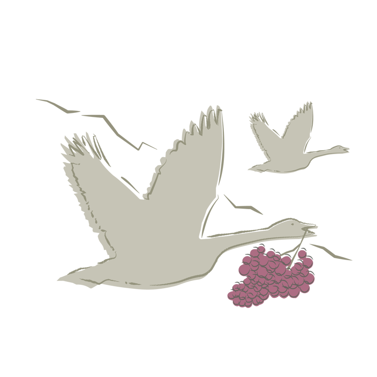 Elusive Goose Vineyards Montana