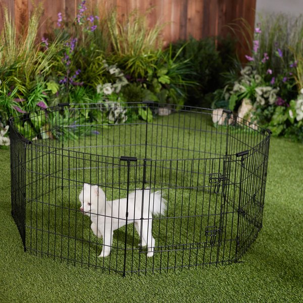 Hot Cross Buns' suggested exercise pen for Buns - Frisco 24" tall pen with walk through gate