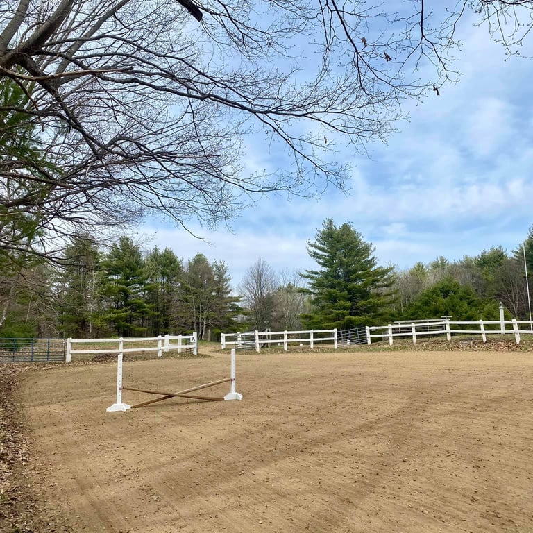 a horse riding arena with white fenced in area and trees
