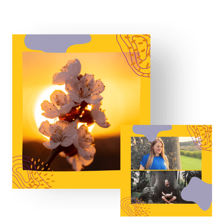 A flower and a sunset. Martina and Gonçalo.