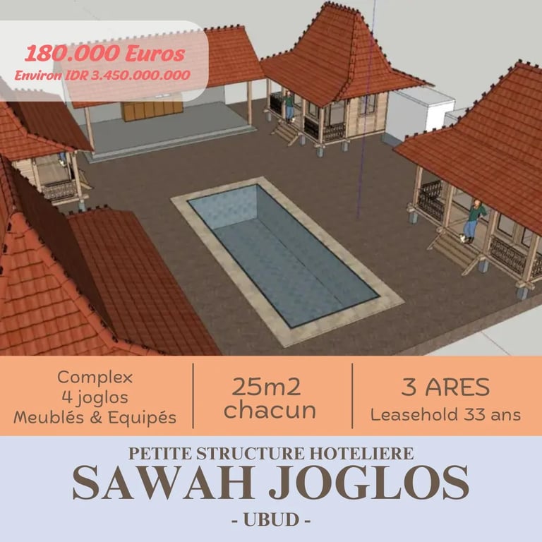petite structure hoteliere Ubud, investir a Bali