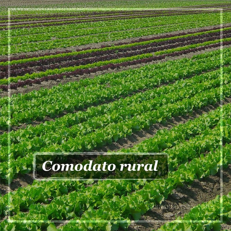 Comodato rural