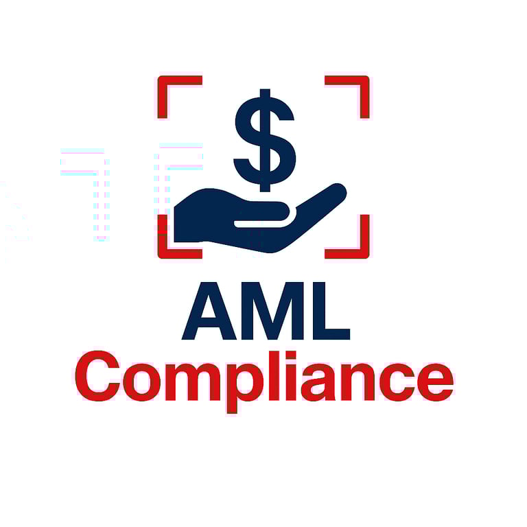 AML Compliance Check Process