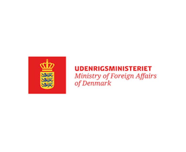 digital pioneers in cross border company registration
