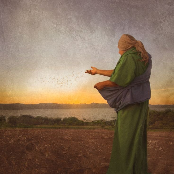 Sowing in Hope - Galatians 6:9