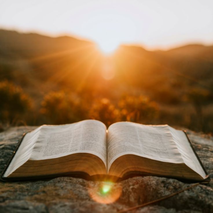 John 14:15: A Testament to True Love