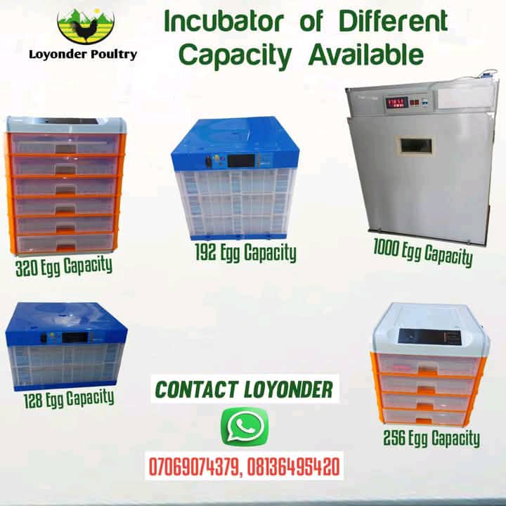 Incubators of different sizes