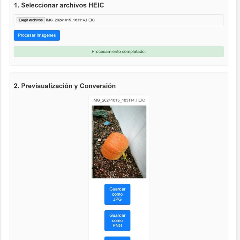 Interfaz del visualizador de fotos HEIC generado por Gemini. Se muestra una foto de una calabaza.