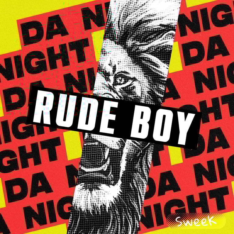 a cover of a Da Night - Rude Boy