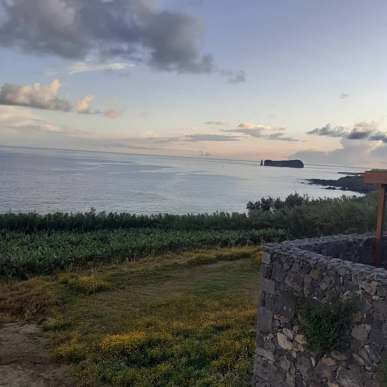 viewpoint with green land close to the sea and an islet in the distance
