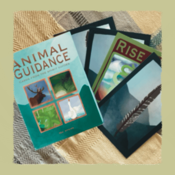Animal Guidance oracle cards