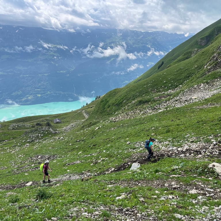 The steep path up from Planalp