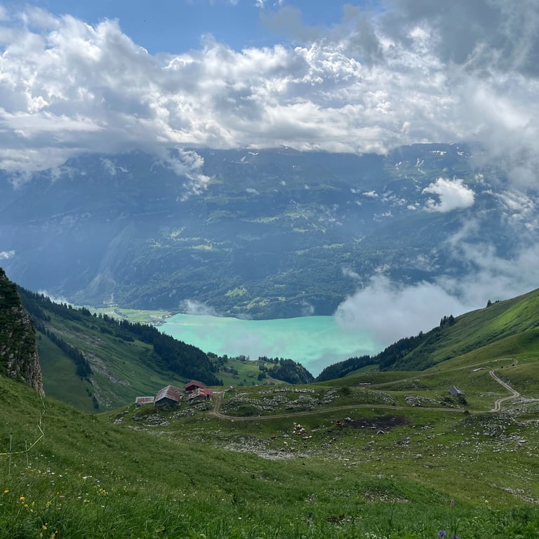 Lake Brienz from above