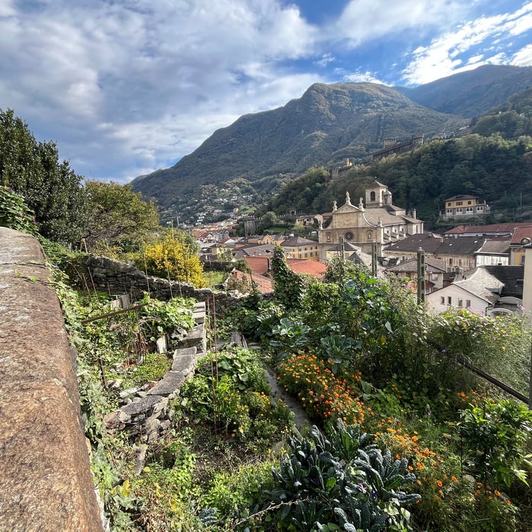 Looking out over the Bellinzona old town from the Castel Grande