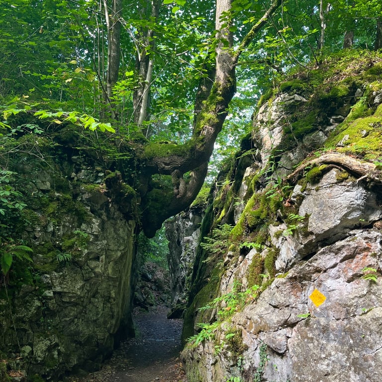 A natural cut in the rock on the path between Iseltwald and Giessbach