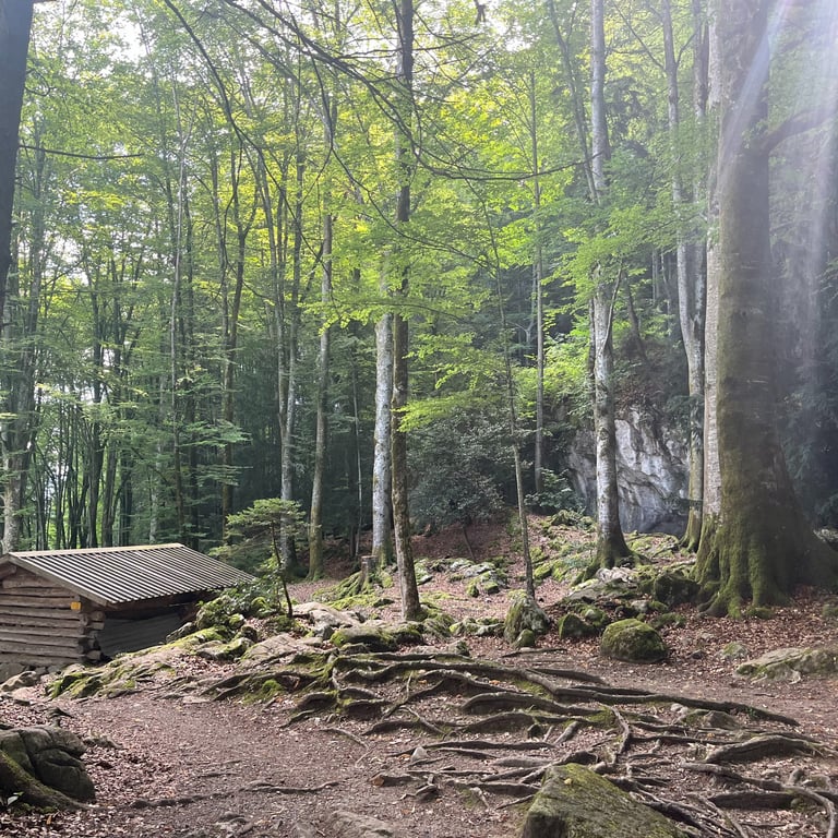 Barbeque Area between Iseltwald and Giessbach