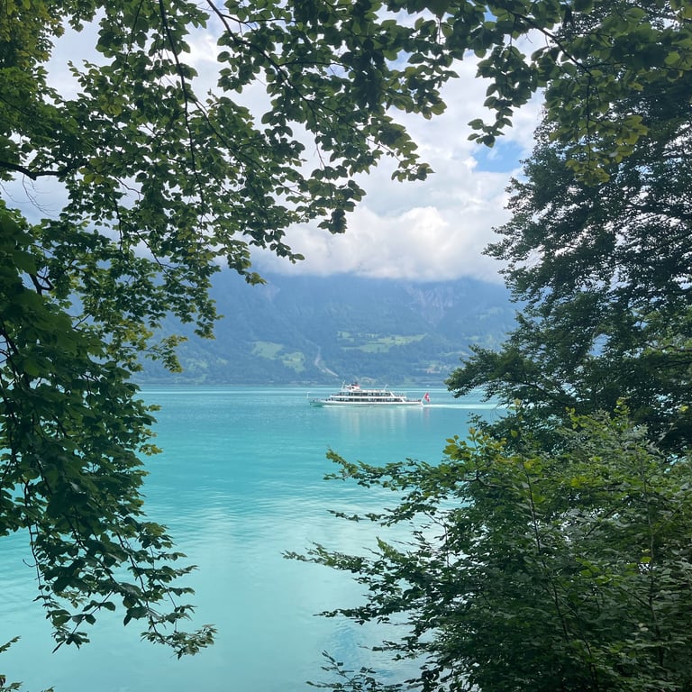 Views from the path between Iseltwald and Giessbach