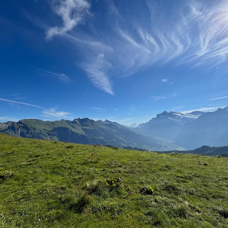 Looking down on Grindelwald from Männlichen