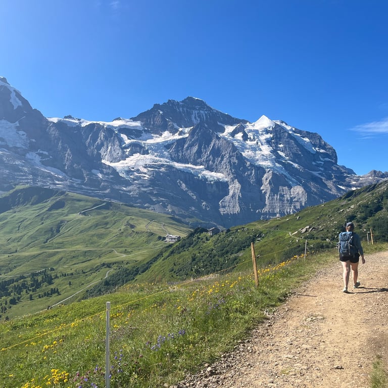 View of Jungfrau from the Panorama Trail between Männlichen and Kleine Scheidegg