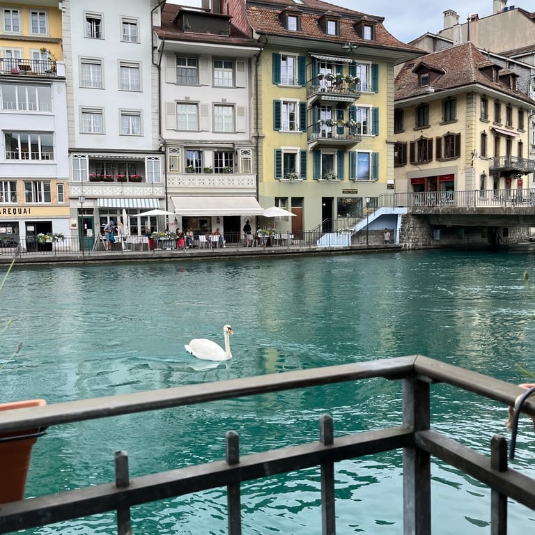 Looking across the Aare River at the Aarequai in Thun Switzerland