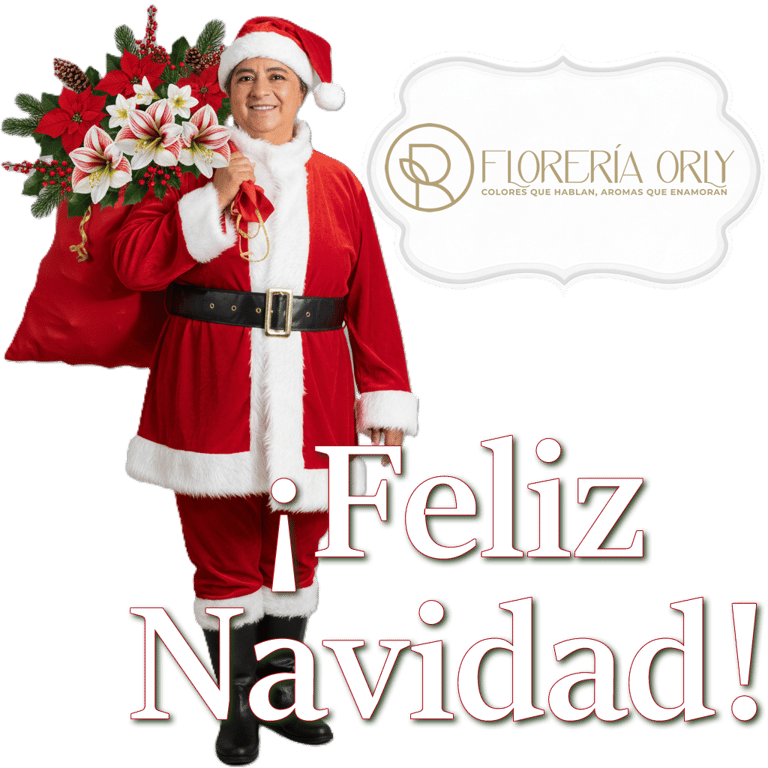 arreglos navideños en pereira