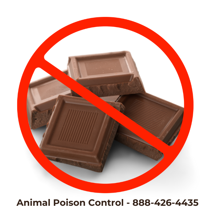 The number for Animal Poison Control with an image of chocolate