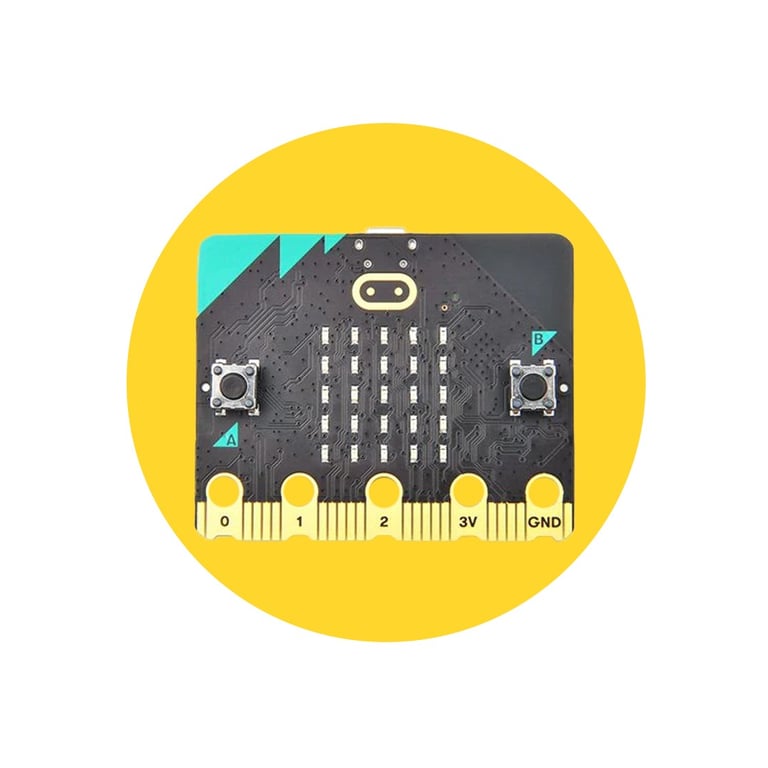 microbit micro bit micro:bit