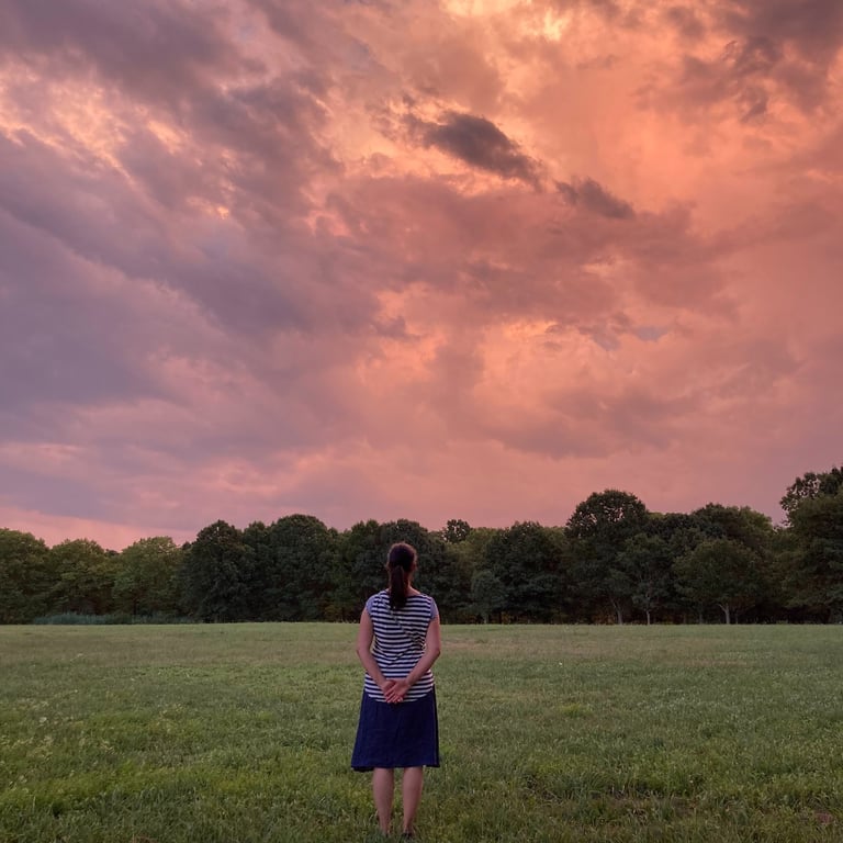 sunset dreams children author