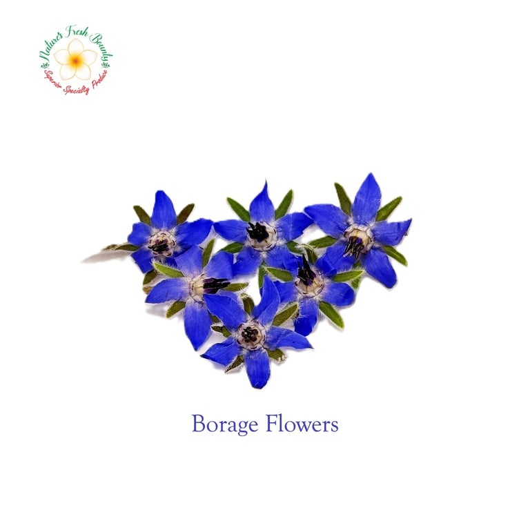 Borage Flowers
