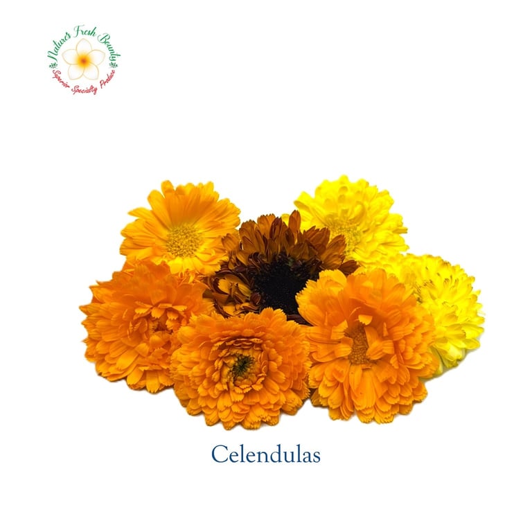 Flower Calendulas