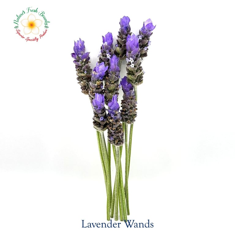 Lavender Wands