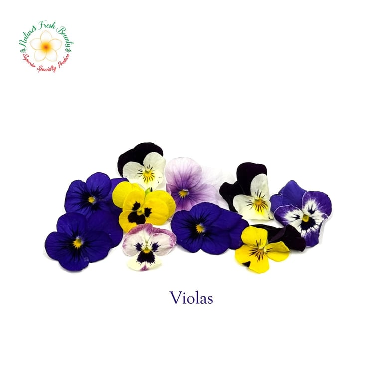 Violas