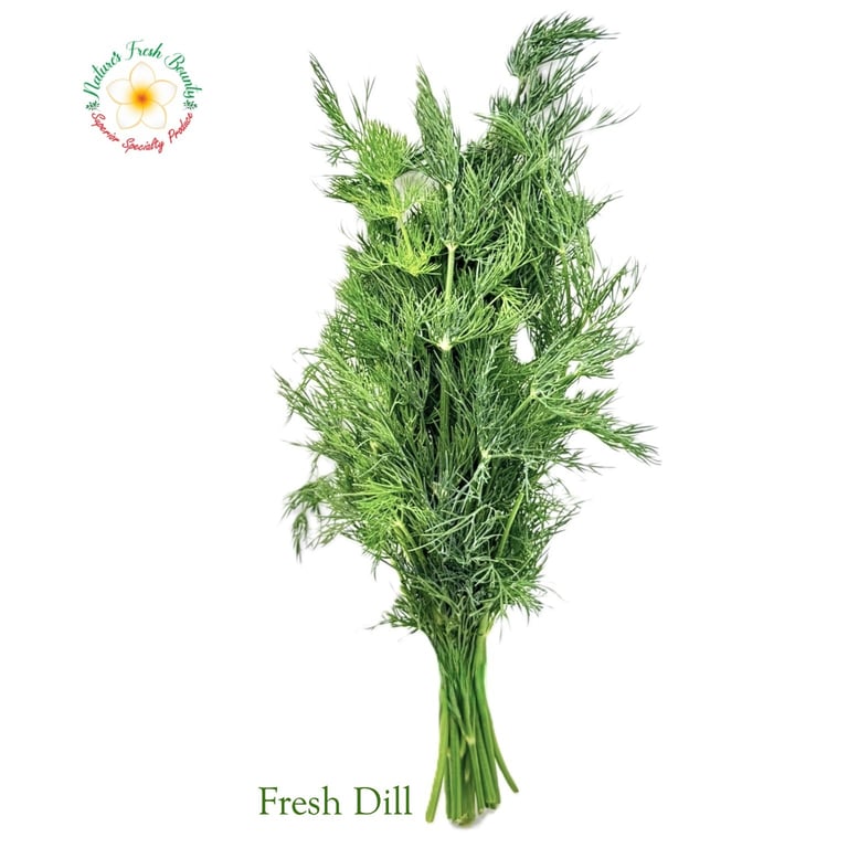 Fresh Dill