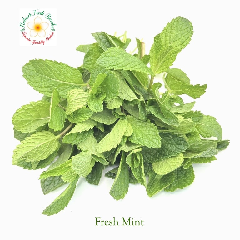 Fresh Mint