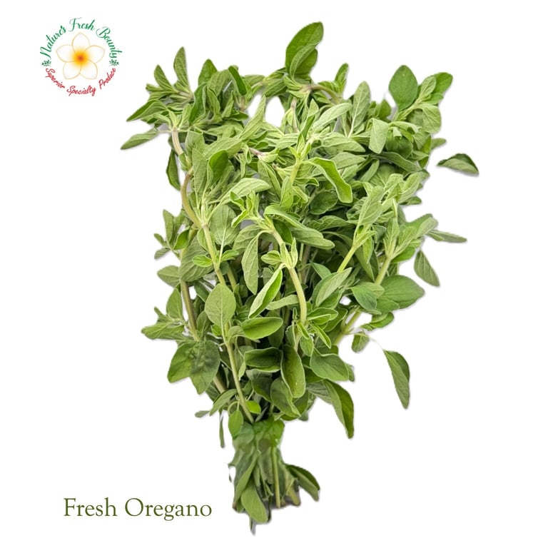 Fresh Oregano