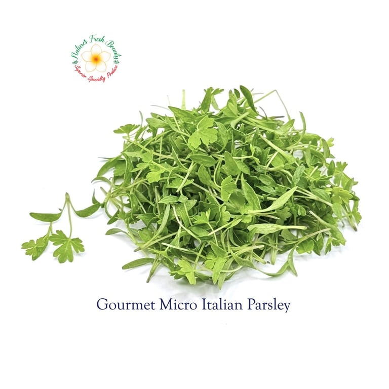 Gourmet Micro Italian Parsley