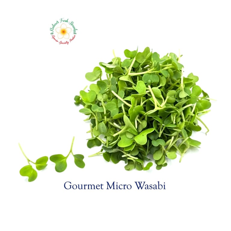 Gourmet Micro Wasabi