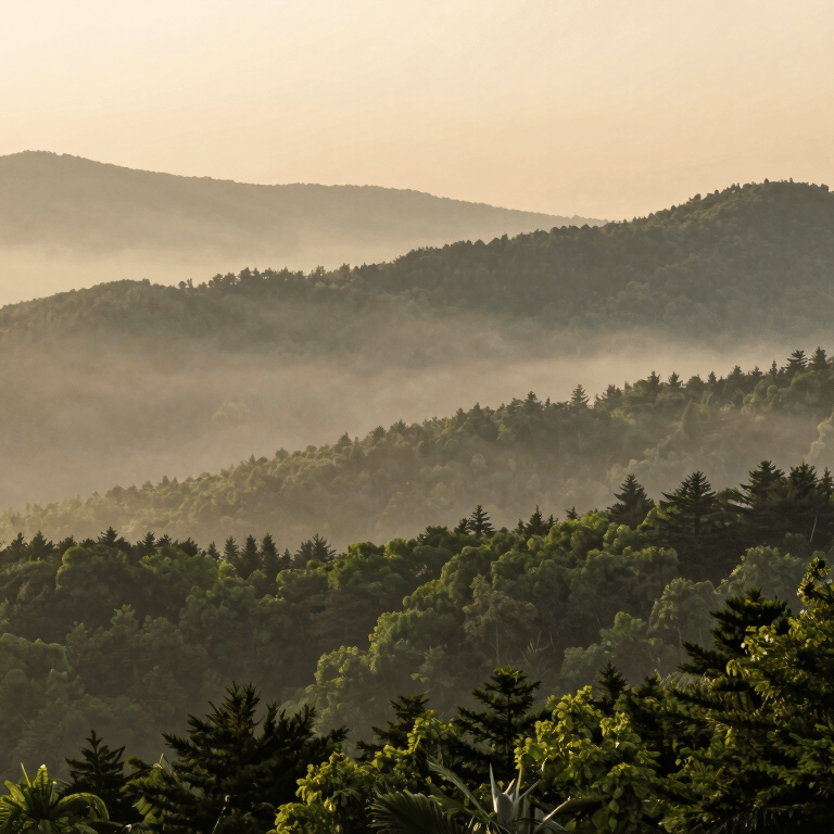A wide shot of a safely completed large tree removal in a residential yard, showing a pristine, raked-clean lawn and the Blue Ridge mountains in the distance.