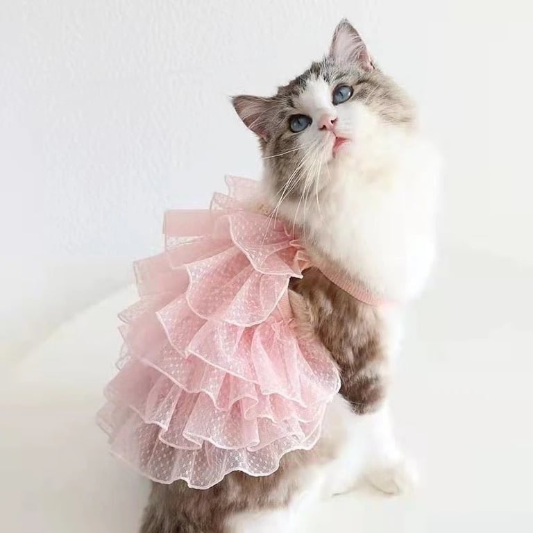 Gatita con vestido rosa
