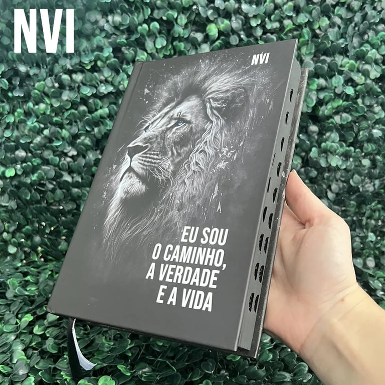 Bíblia feminina NVI para jovens com leitura prática e atual